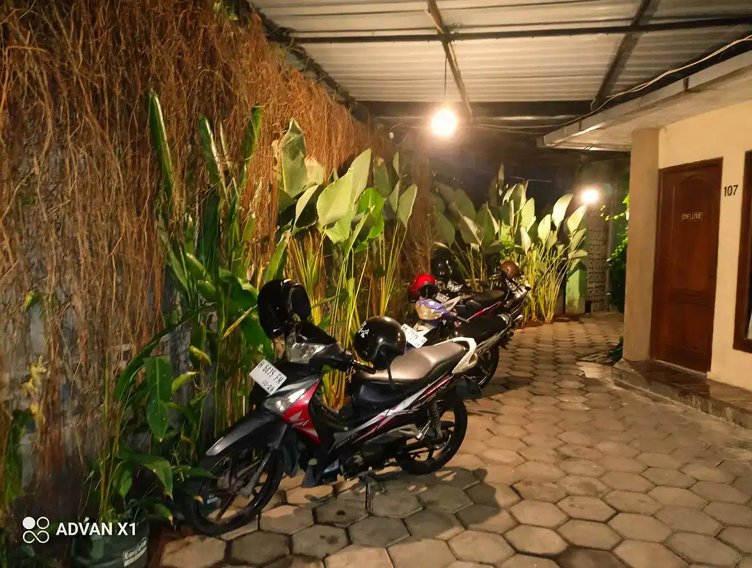 Gallery 7