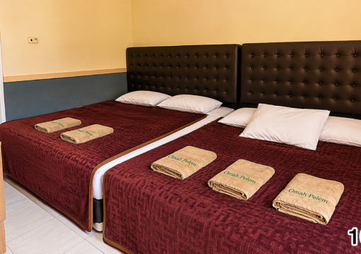 Deluxe Family 5 Room
